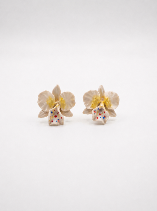 Orquídea Mini