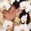 Orquídea Tierra Querida