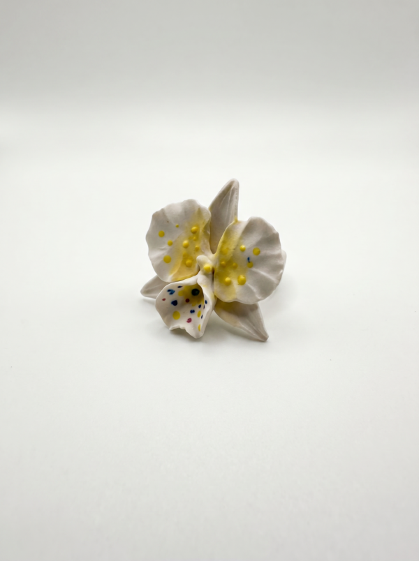 Anillo Orquidea