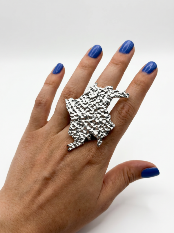 magnific__genera-este-anillo-en-fondo-blanco-como-foto-con-l__54600 Anillo Tierra Querida