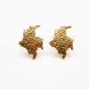 Aretes Tierra Querida
