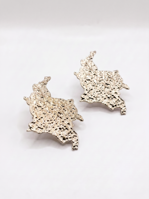 Aretes Tierra Querida