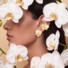 Orquídea Mini