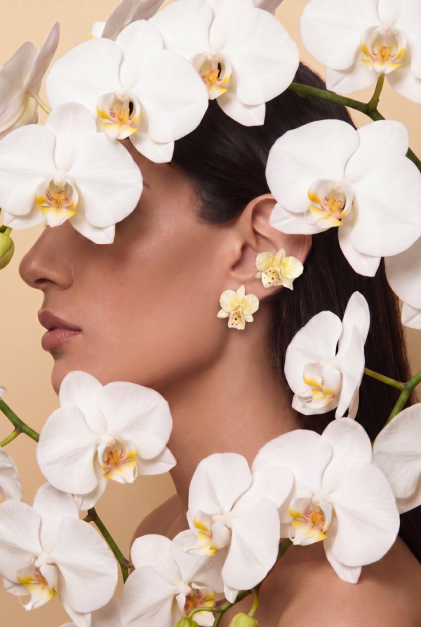 Orquídea Mini