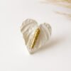 Anillo Anturio