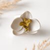 Anillo Orquídea